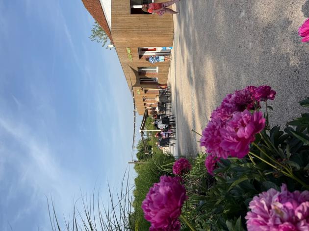 terrasse du bar
